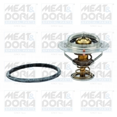 Thermostat, coolant